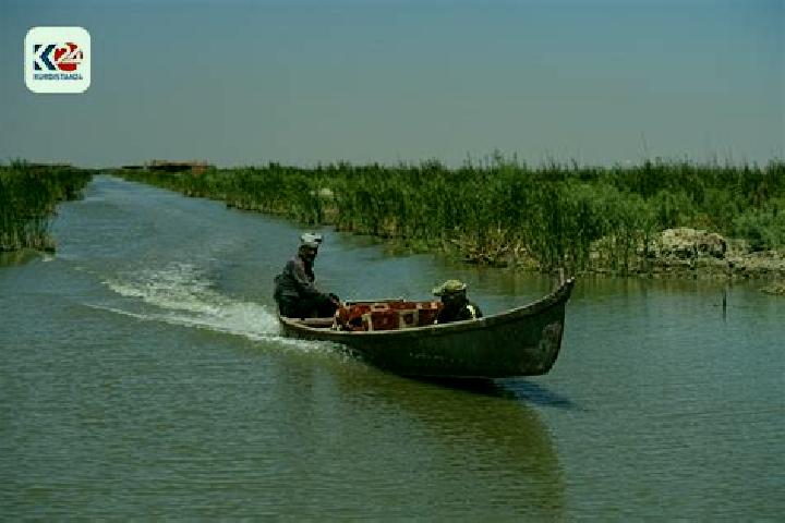 Escorts Al Manadhirah, Iraq — Local Companions