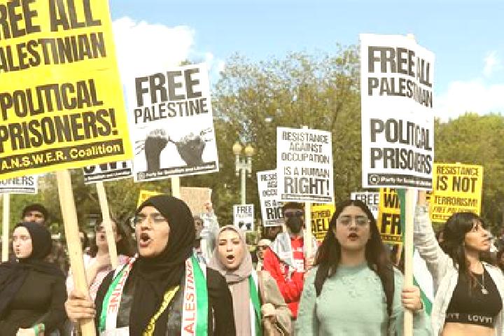 Escorts Al Maniyah, Palestine — Local Companions