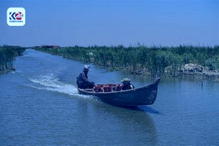 Escorts Al-Musayab, Iraq — Local Companions