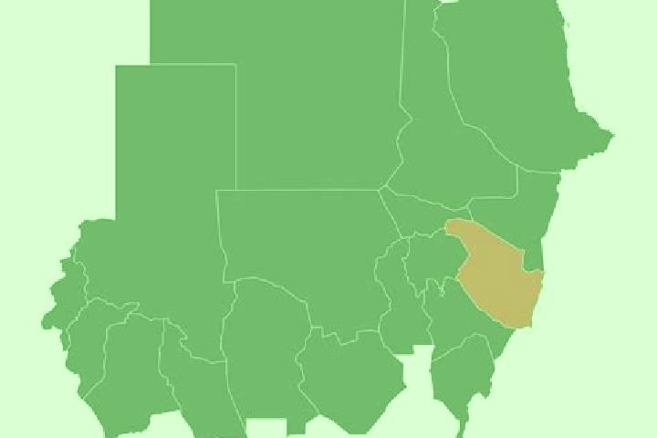 Escorts Al Qadarif, Sudan — Local Companions