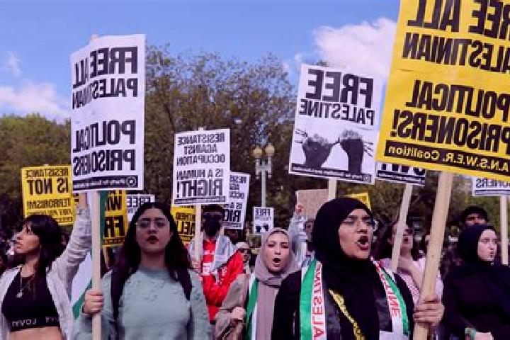 Escorts Al Qararah, Palestine — Local Companions