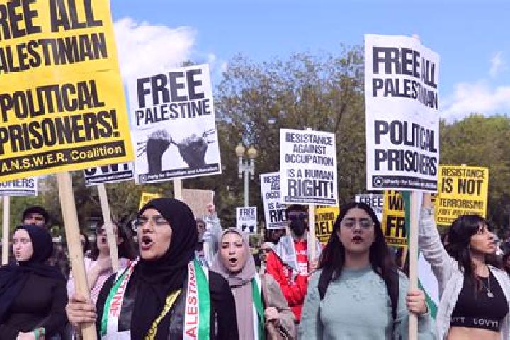 Escorts Al Yamun, Palestine — Local Companions