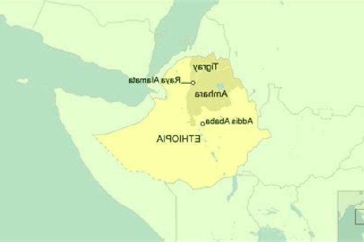 Escorts Alamata, Ethiopia — Local Companions