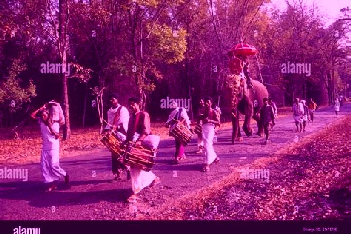 Escorts Alangulam, India — Local Companions