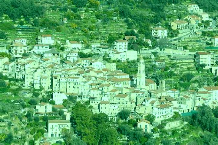 Escorts Albiano, Italy — Local Companions