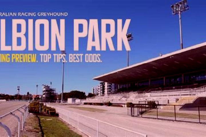 Escorts Albion Park, Australia — Local Companions