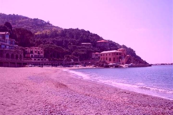 Escorts Albisola Superiore, Italy — Local Companions