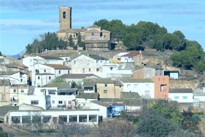 Escorts Alcala del Obispo, Spain — Local Companions