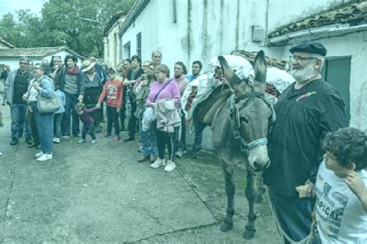 Escorts Aldeanueva del Camino, Spain — Local Companions