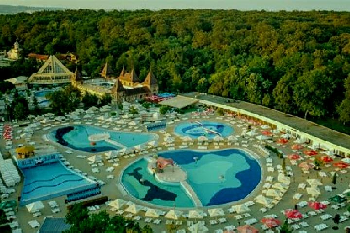 Escorts Alesd, Romania — Local Companions