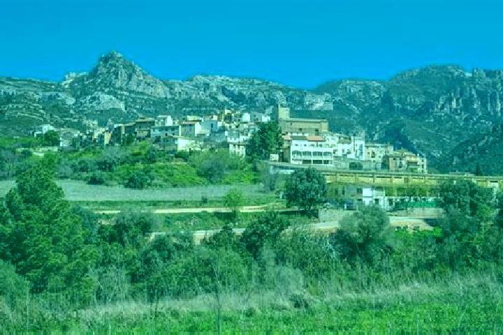 Escorts Alfara de Algimia, Spain — Local Companions