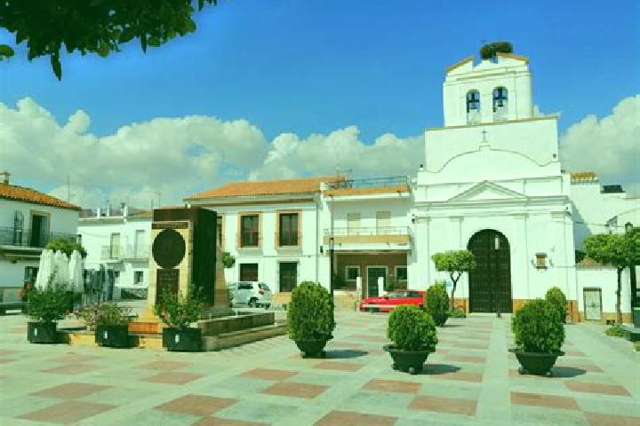Escorts Algar de Mesa, Spain — Local Companions