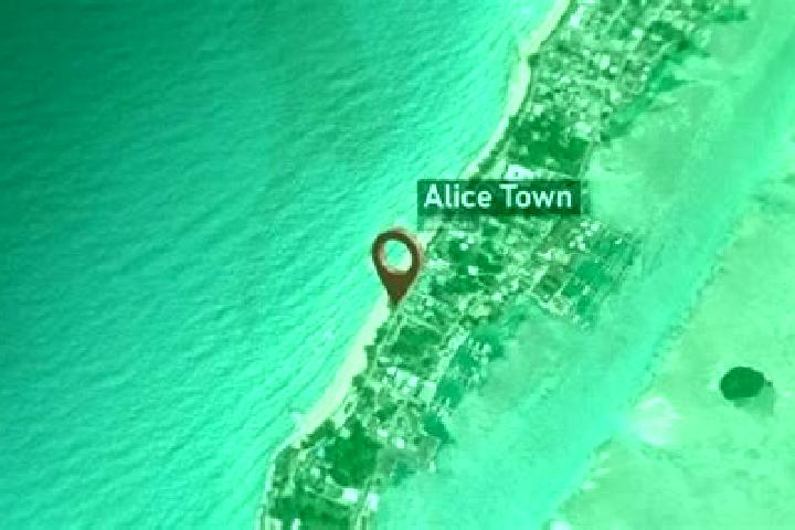 Escorts Alice Town, Bahamas — Local Companions