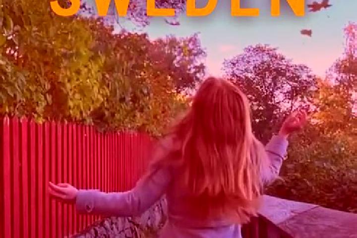 Escorts Alingsas, Sweden — Local Companions