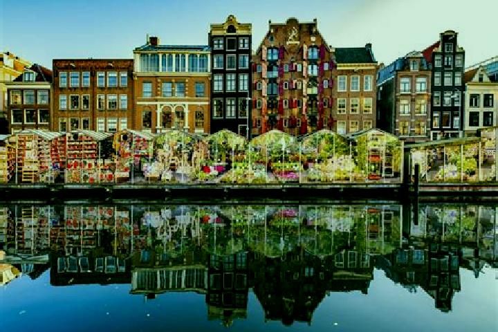 Escorts Almelo, Netherlands — Local Companions