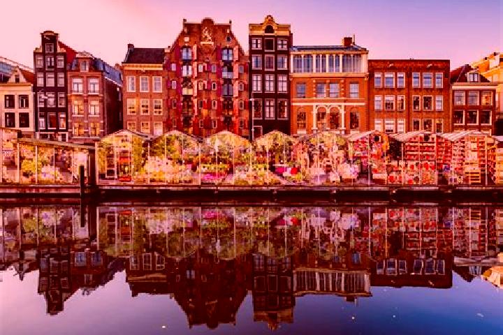 Escorts Almkerk, Netherlands — Local Companions