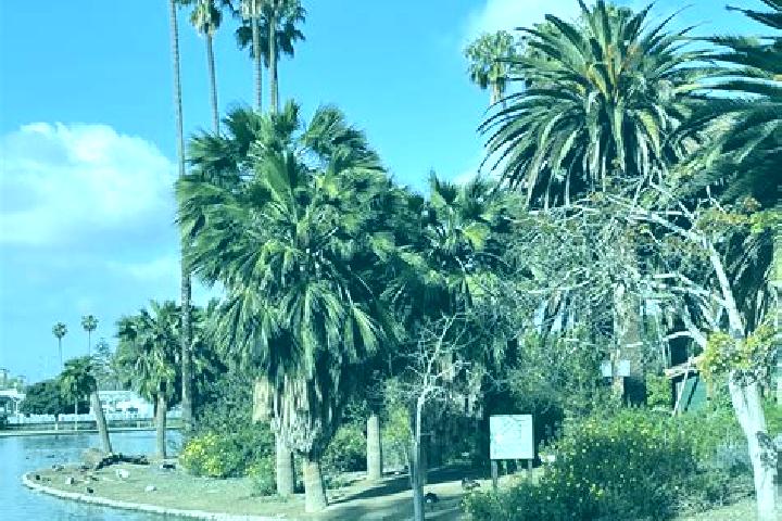 Escorts Alondra Park, United States — Local Companions