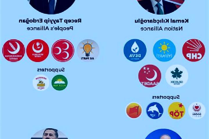 Escorts Alpagut, Turkey — Local Companions