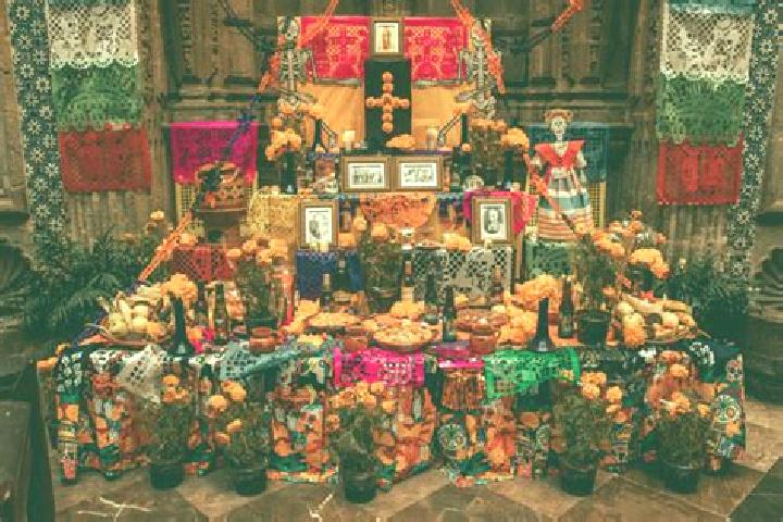 Escorts Altar, Mexico — Local Companions