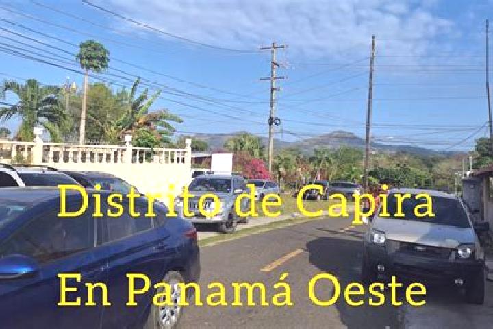 Escorts Alto de Capira, Panama — Local Companions