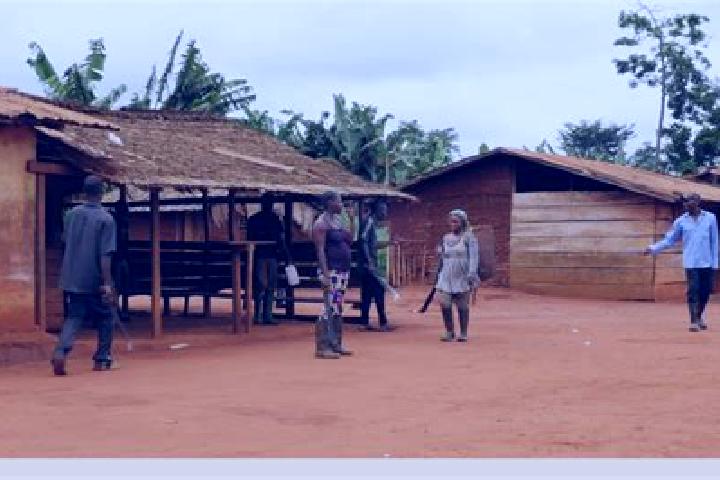 Escorts Ambam, Cameroon — Local Companions