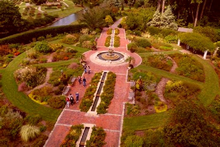 Escorts Amity Gardens, United States — Local Companions