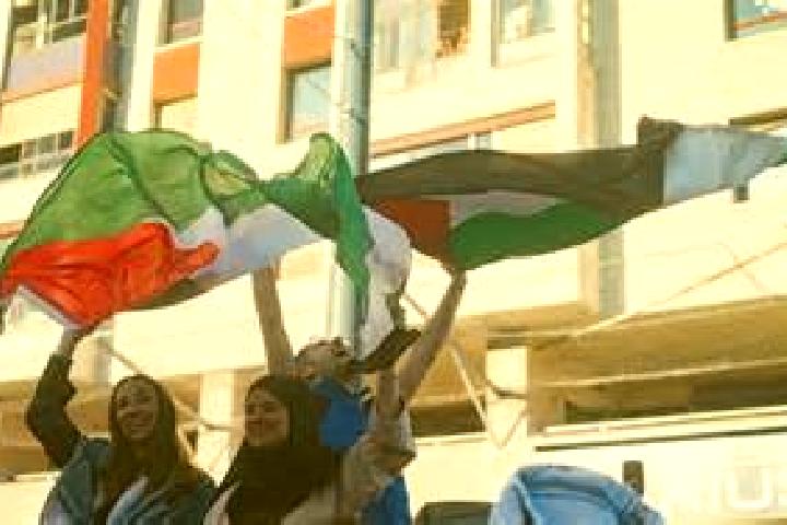 Escorts An Naqurah, Palestine — Local Companions