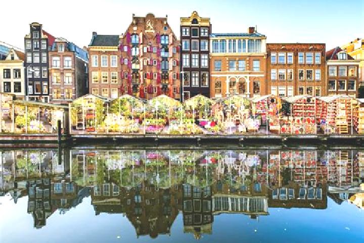 Escorts Andel, Netherlands — Local Companions
