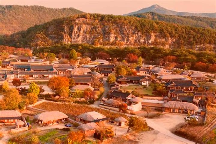 Escorts Andong, South Korea — Local Companions