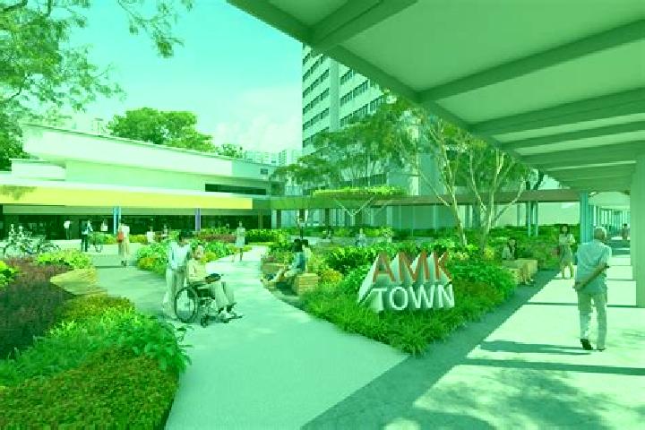 Escorts Ang Mo Kio New Town, Singapore — Local Companions