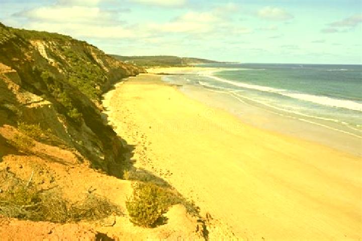 Escorts Anglesea, Australia — Local Companions