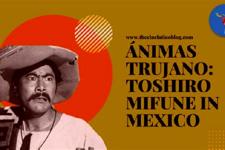 Escorts Animas Trujano, Mexico — Local Companions