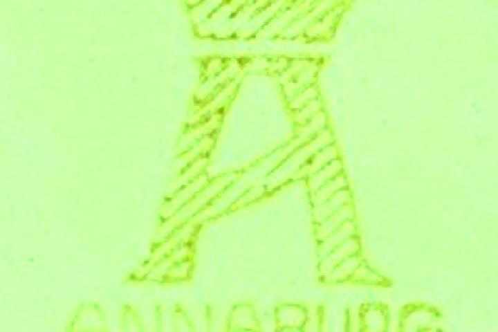 Escorts Annaburg, Germany — Local Companions