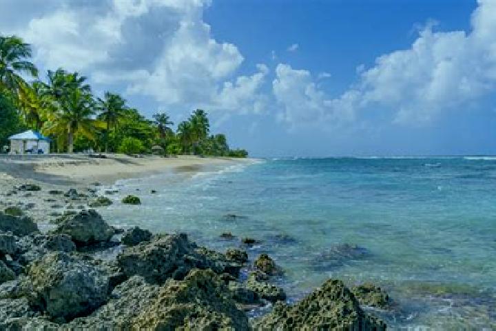 Escorts Anse-Bertrand, Guadeloupe — Local Companions