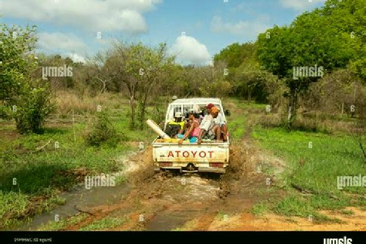 Escorts Antsalova, Madagascar — Local Companions