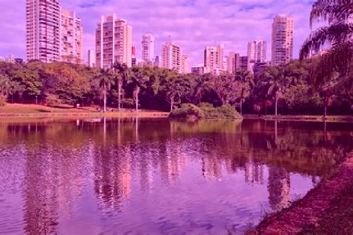 Escorts Aparecida de Goiania, Brazil — Local Companions
