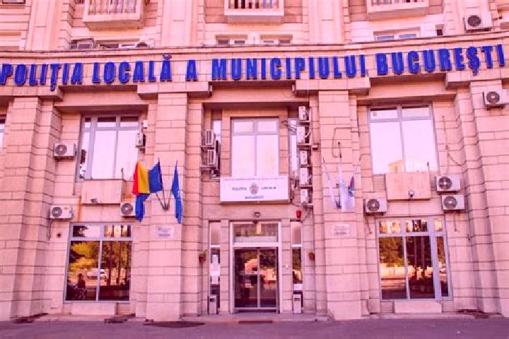 Escorts Apata, Romania — Local Companions