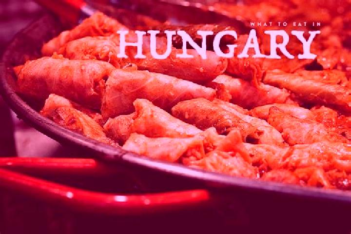 Escorts Apc, Hungary — Local Companions
