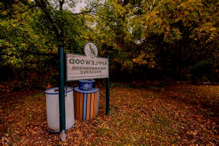 Escorts Applewood Park, Canada — Local Companions