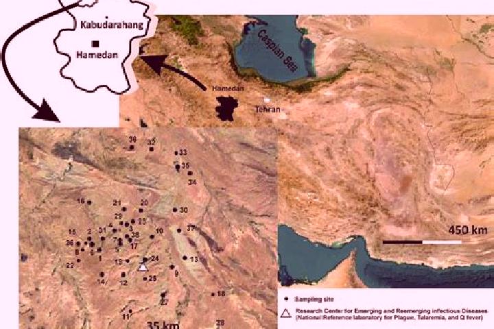 Escorts Aq Bolagh-e Aqdagh, Iran — Local Companions
