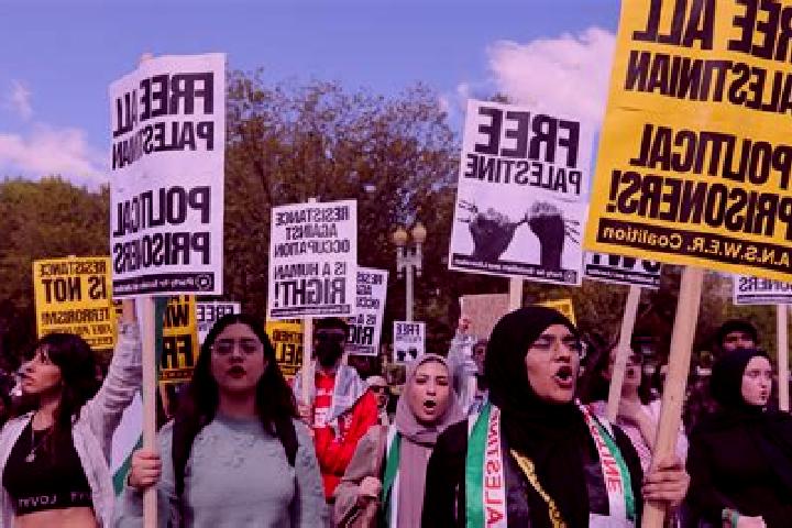 Escorts Ar Rihiyah, Palestine — Local Companions