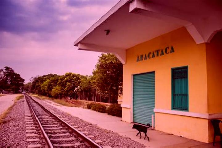 Escorts Aracataca, Colombia — Local Companions