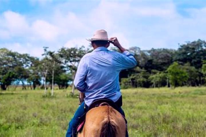 Escorts Arauquita, Colombia — Local Companions