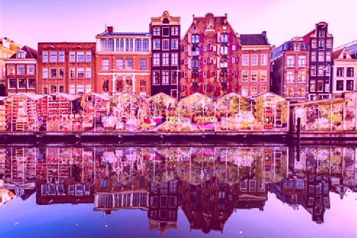 Escorts Arcen, Netherlands — Local Companions