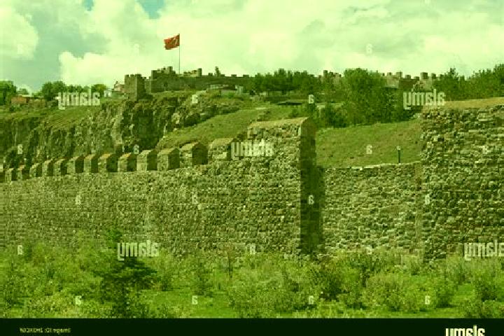 Escorts Ardahan, Turkey — Local Companions