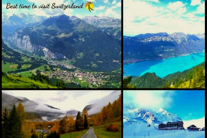 Escorts Ardon, Switzerland — Local Companions