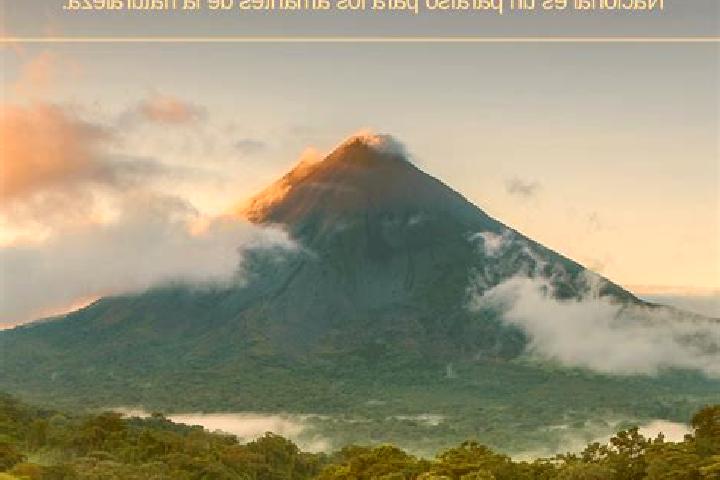 Escorts Arenal, Honduras — Local Companions