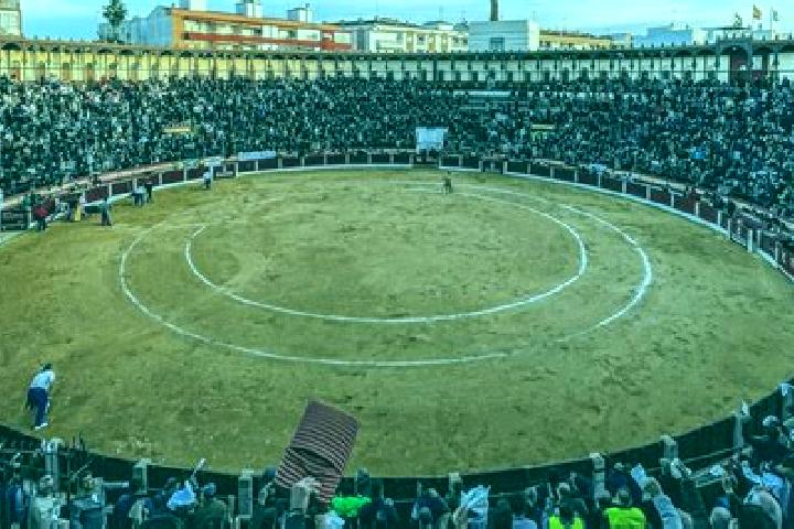 Escorts Arenas de San Pedro, Spain — Local Companions