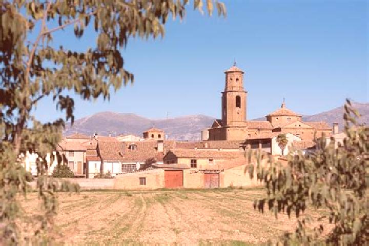 Escorts Argavieso, Spain — Local Companions