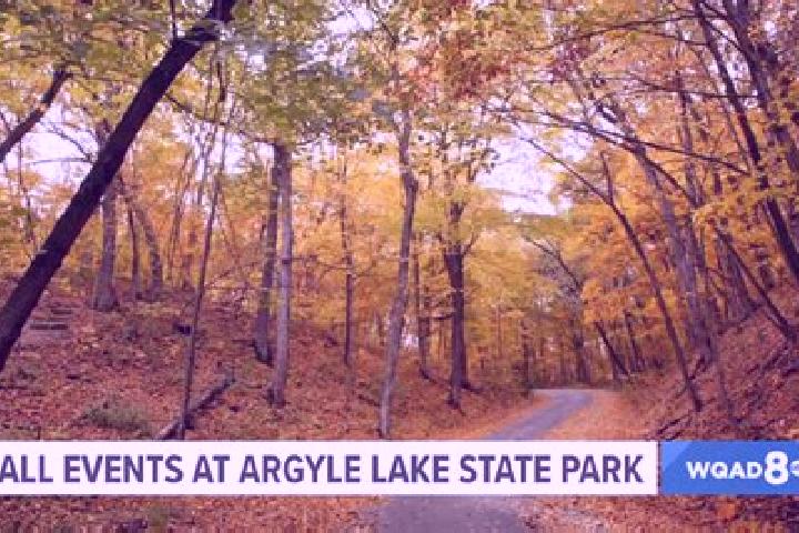Escorts Argyle Park, Canada — Local Companions
